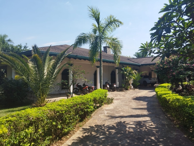 Haus 500 – Altos