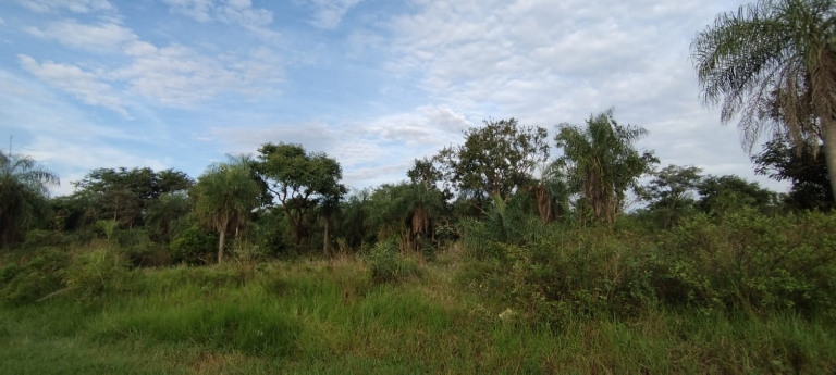 Grundstück Altos – 214