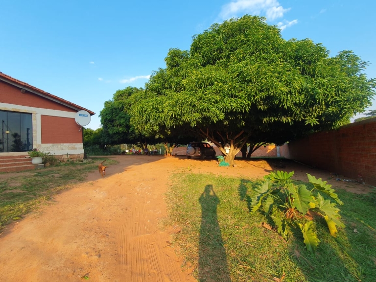 Haus 409 – Altos