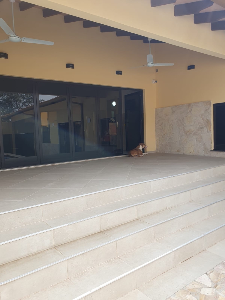 Haus 425 – Altos