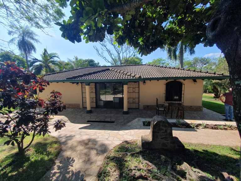 Haus 501 – Altos