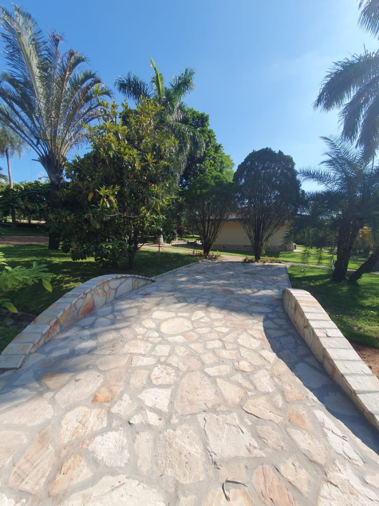 Haus 501 – Altos