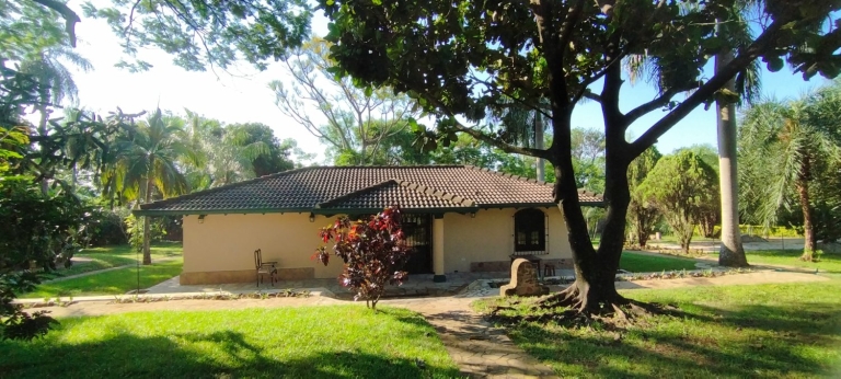 Haus 501 – Altos