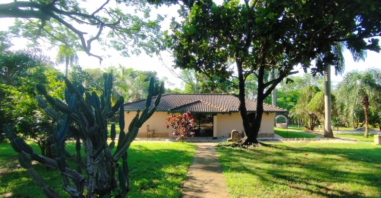 Haus 501 – Altos