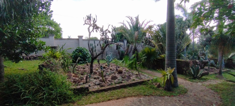 Haus 104 – Altos