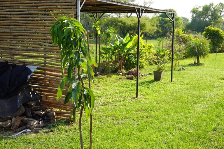 Haus 444 – Ypacaraí