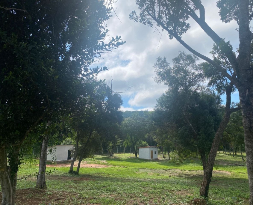 photo_2025-11-25_16-58-41