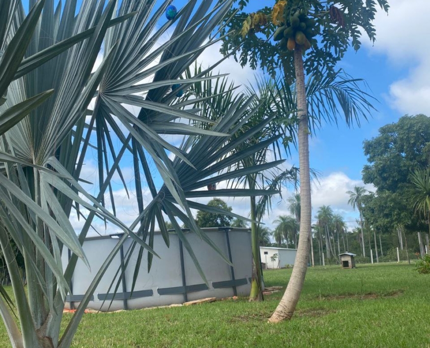 photo_2025-11-25_16-58-47