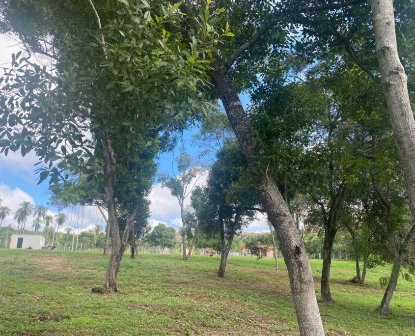 photo_2025-11-25_16-58-52