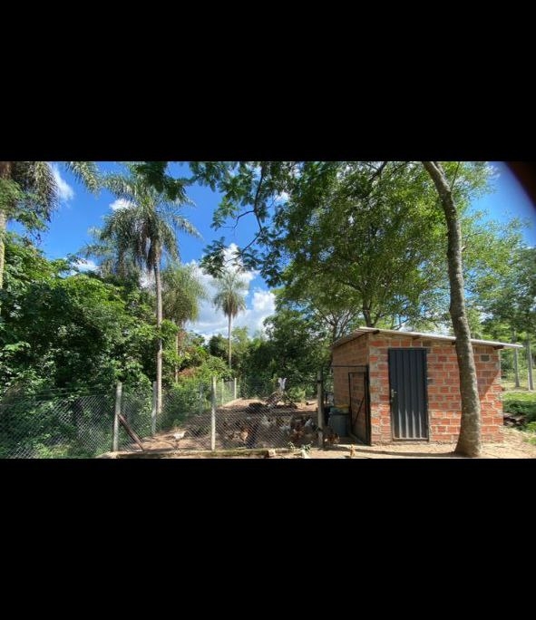 photo_2025-11-25_16-58-57