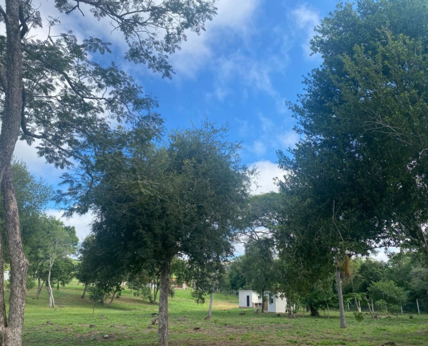 photo_2025-11-25_16-59-10