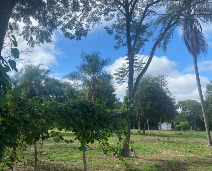 photo_2025-11-25_16-59-28