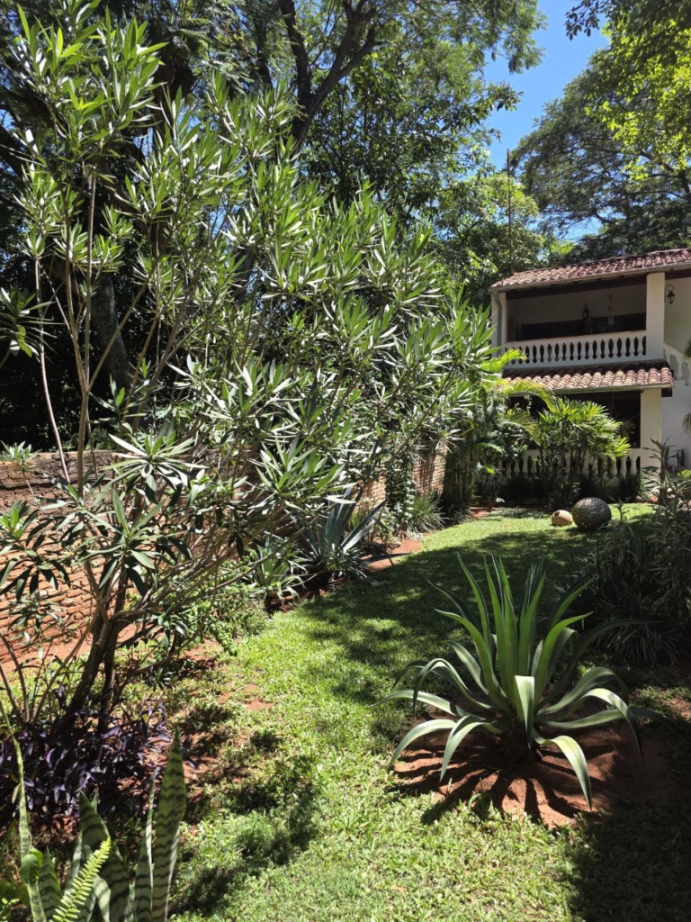 Haus 408 – Aregua