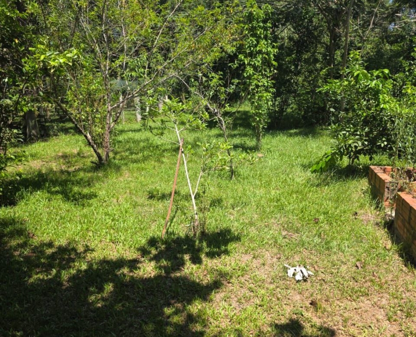 photo_2026-02-02_23-27-47