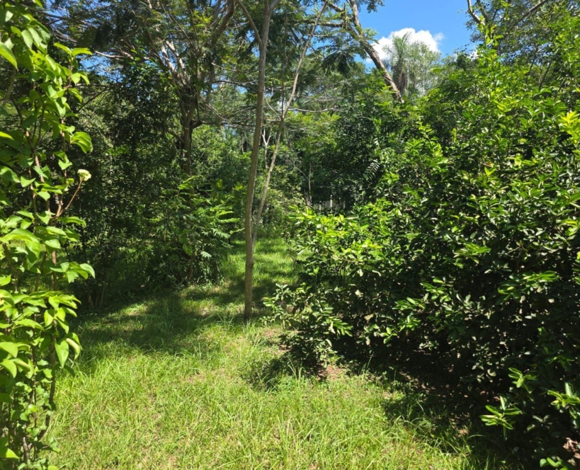 photo_2026-02-02_23-27-54