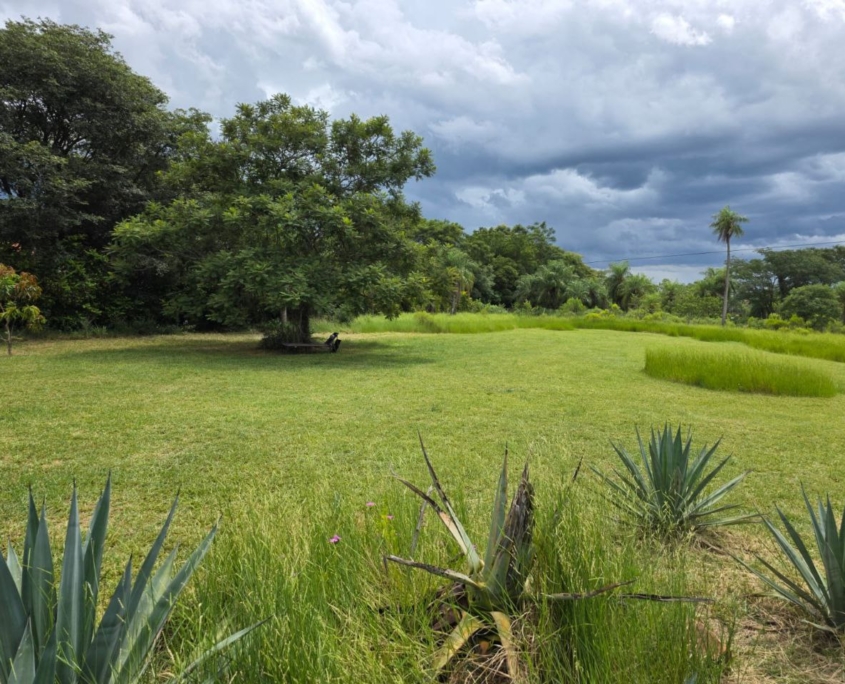 photo_2026-02-20_16-25-51