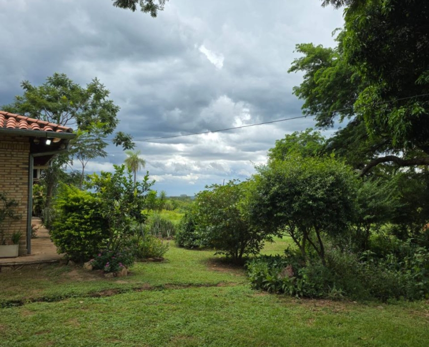 photo_2026-02-20_16-26-24