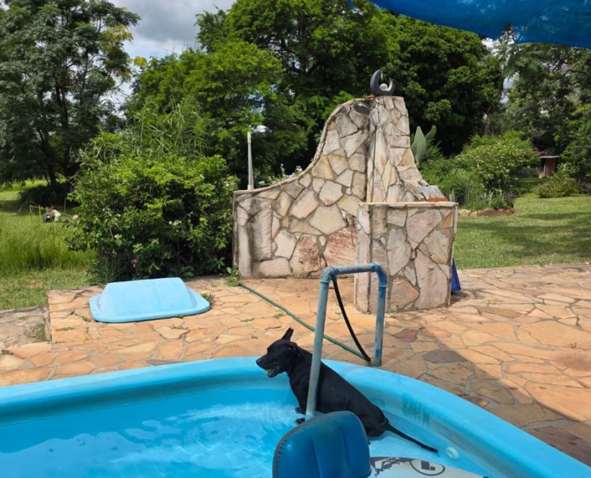 photo_2026-02-20_16-26-29