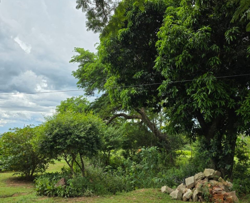 photo_2026-02-20_16-26-41