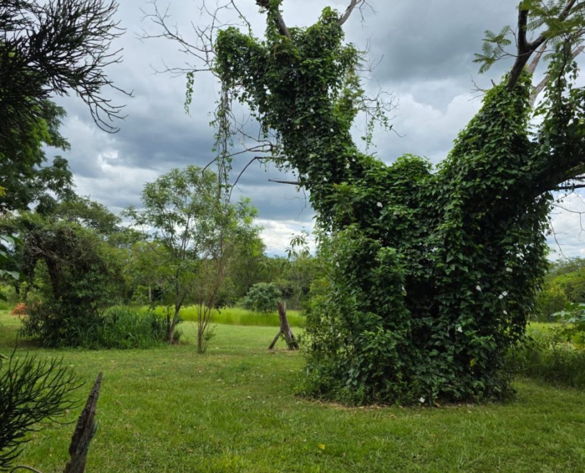 photo_2026-02-20_16-26-52