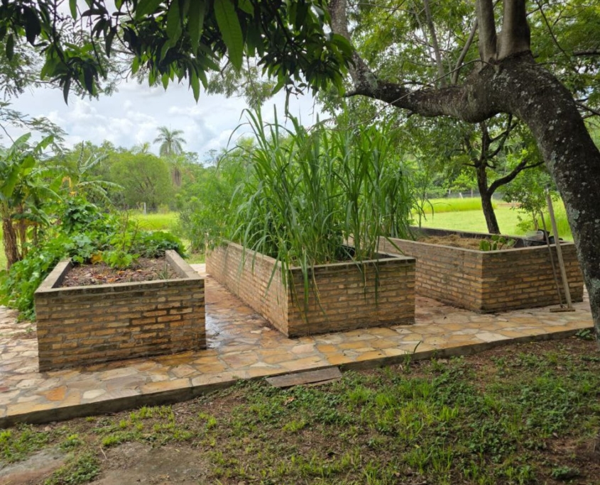 photo_2026-02-20_16-26-57