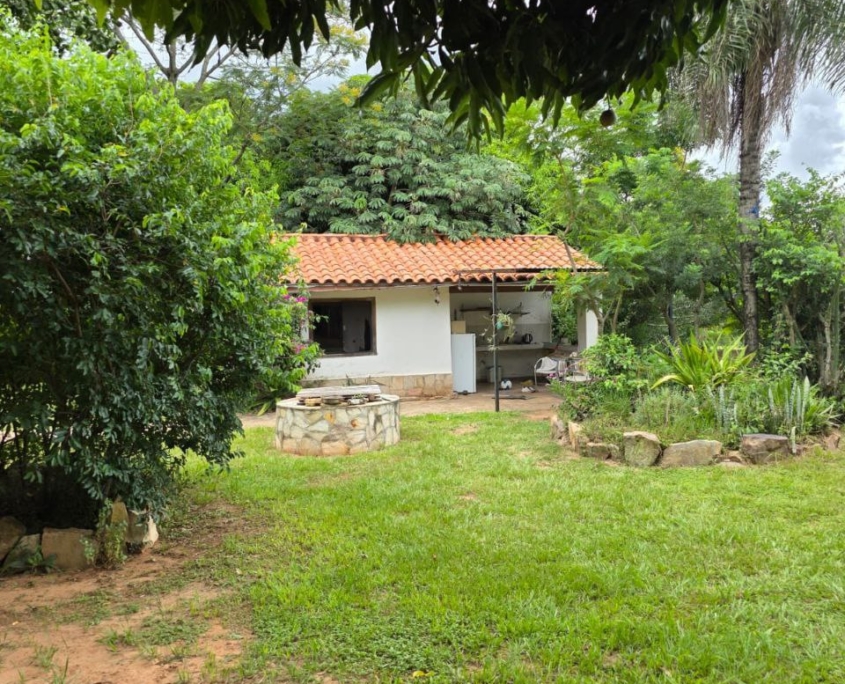 photo_2026-02-20_16-27-23