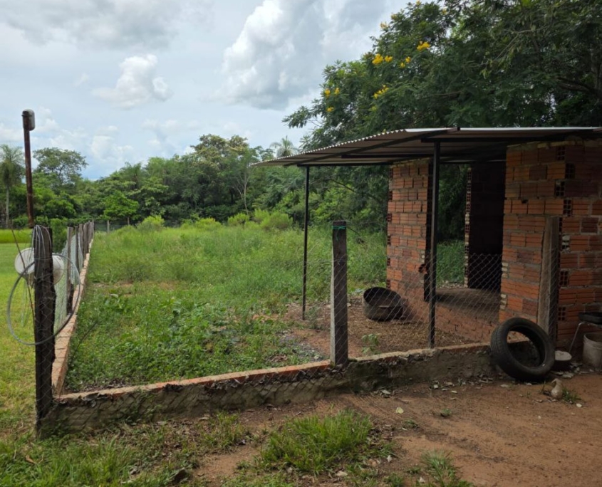 photo_2026-02-20_16-27-28