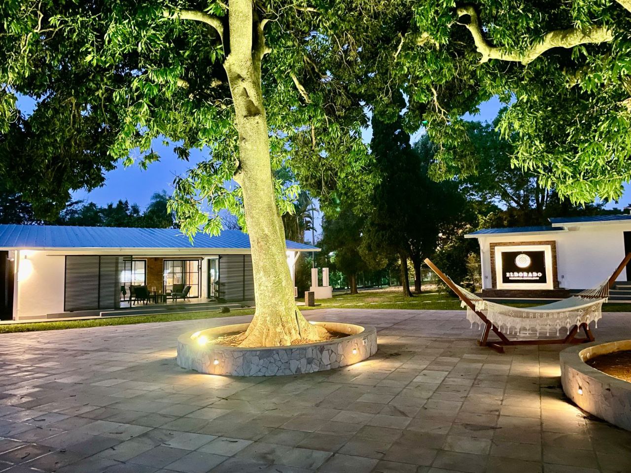 photo_2026-02-23_22-36-19