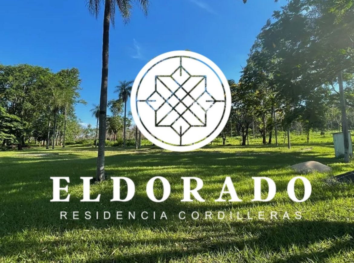 photo_2026-02-23_22-38-06