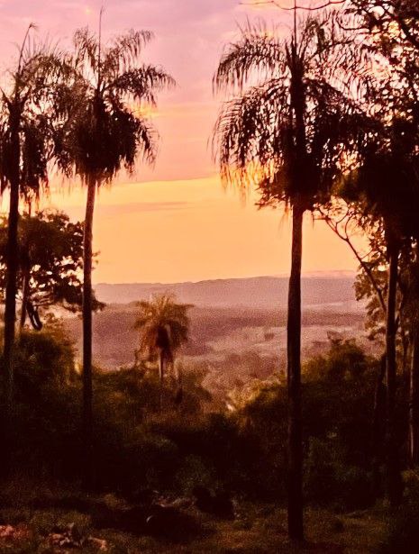 photo_2026-02-23_22-38-10