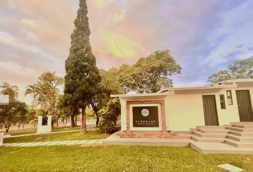 photo_2026-02-23_22-38-31